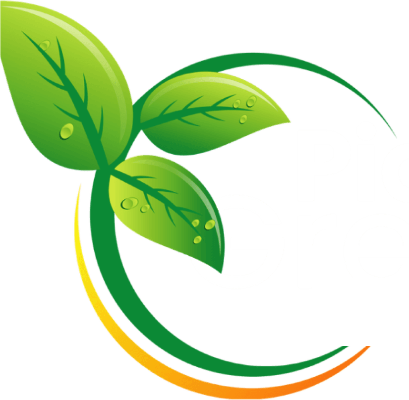 Piatto Green